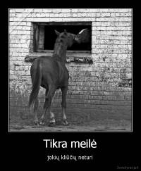 Tikra meilė - jokių kliūčių neturi