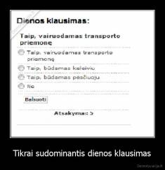 Tikrai sudominantis dienos klausimas - 