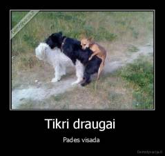 Tikri draugai  - Pades visada 