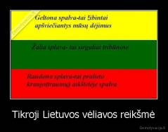 Tikroji Lietuvos vėliavos reikšmė - 