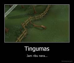 Tingumas - Jam ribu nera...