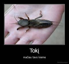 Tokį - mačiau tavo kieme