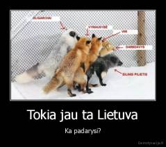 Tokia jau ta Lietuva - Ka padarysi?