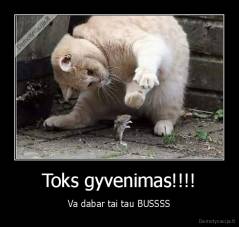 Toks gyvenimas!!!! - Va dabar tai tau BUSSSS