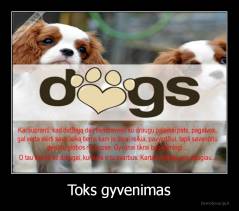 Toks gyvenimas - 