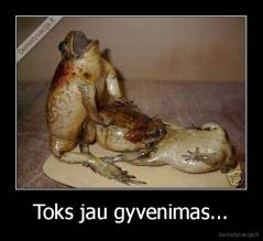 Toks jau gyvenimas... - 