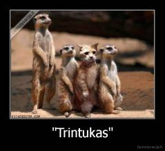 "Trintukas" - 