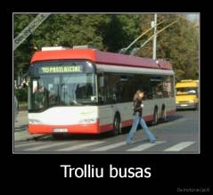 Trolliu busas - 