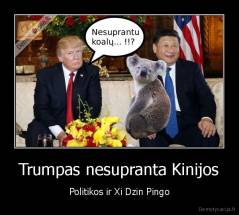 Trumpas nesupranta Kinijos - Politikos ir Xi Dzin Pingo