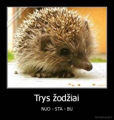 Trys žodžiai - NUO - STA - BU