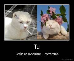 Tu - Realiame gyvenime | Instagrame