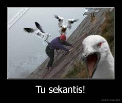 Tu sekantis! - 