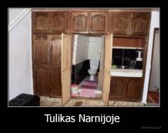 Tulikas Narnijoje  - 