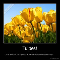 Tulpes! - Jos ne tam skirtos, kad tu jas uostytai, bet, kad jas dovanotum mylimam zmogui. 