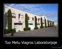 Tuo Metu Viagros Laboratorijoje - 