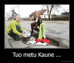 Tuo metu Kaune ... - 