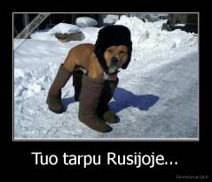 Tuo tarpu Rusijoje... - 