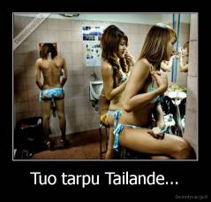 Tuo tarpu Tailande... - 