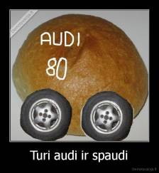 Turi audi ir spaudi - 