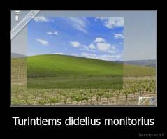 Turintiems didelius monitorius - 