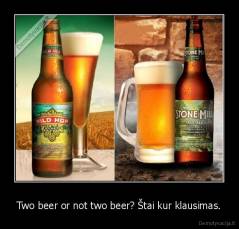 Two beer or not two beer? Štai kur klausimas. - 