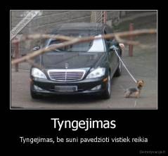 Tyngejimas - Tyngejimas, be suni pavedzioti vistiek reikia