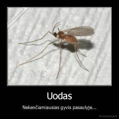 Uodas - Nekenčiamiausias gyvis pasaulyje...