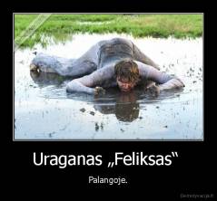 Uraganas „Feliksas“  - Palangoje.