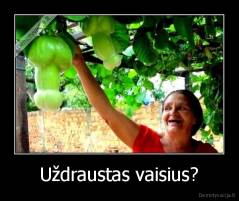 Uždraustas vaisius? - 