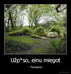 Užp*so, einu miegot - - Pavasaris