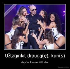 Užtaginkit draugą(ę), kuri(s) - slapčia klauso Pitbulio.