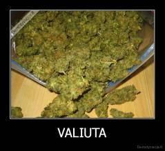 VALIUTA - 