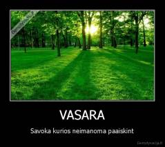 VASARA - Savoka kurios neimanoma paaiskint