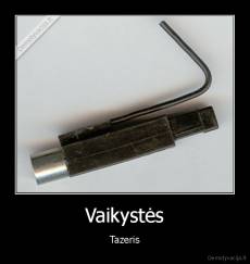 Vaikystės - Tazeris