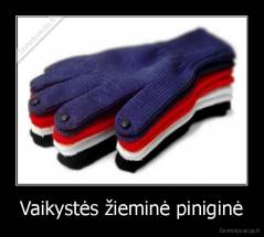 Vaikystės žieminė piniginė - 