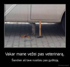 Vakar mane vežei pas veterinarą. - Šiandien aš tave nusiūsiu pas gyditoją