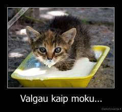 Valgau kaip moku... - 