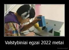 Valstybiniai egzai 2022 metai - 