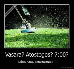 Vasara? Atostogos? 7:00? - Labas rytas, bzzzzzzzzzziat!!!