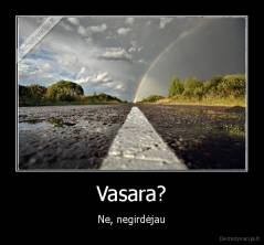 Vasara? - Ne, negirdėjau