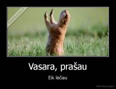 Vasara, prašau - Eik lėčiau