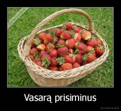 Vasarą prisiminus - 