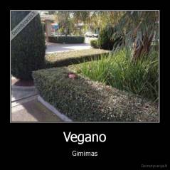 Vegano - Gimimas