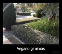 Vegano gimimas - 