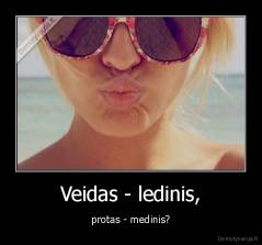 Veidas - ledinis, - protas - medinis?