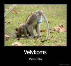 Velykoms - Pasiruošta