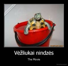 Vėžliukai nindzės - The Movie