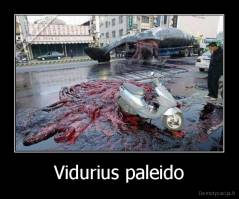 Vidurius paleido - 