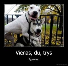 Vienas, du, trys - Šypsena!