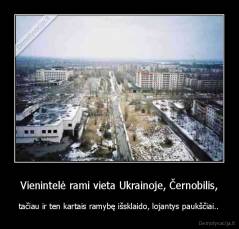 Vienintelė rami vieta Ukrainoje, Černobilis, - tačiau ir ten kartais ramybę išsklaido, lojantys paukščiai..